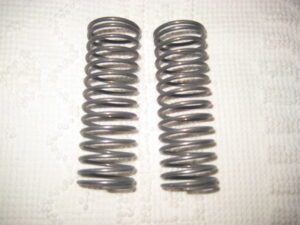 Fuel pump springs